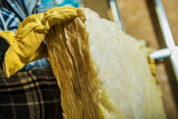 Best Types of Insulation in Cedar Heights, MD
